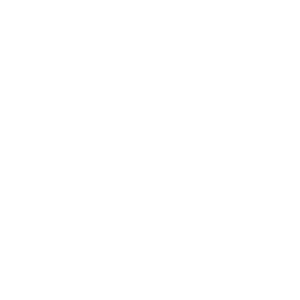 bajaj