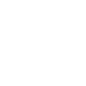 nissin