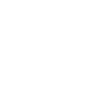 pilgrims